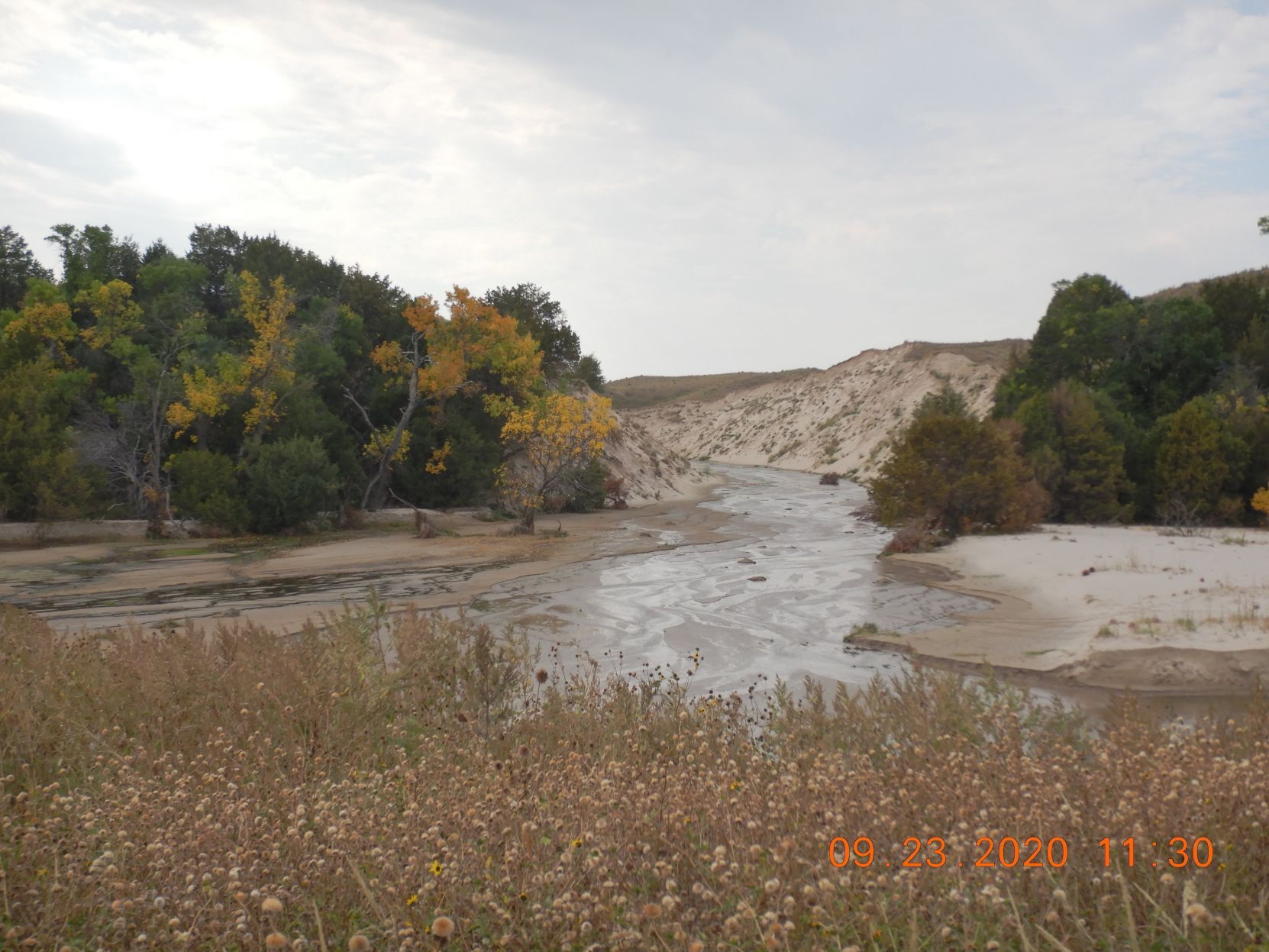 snakeriver2